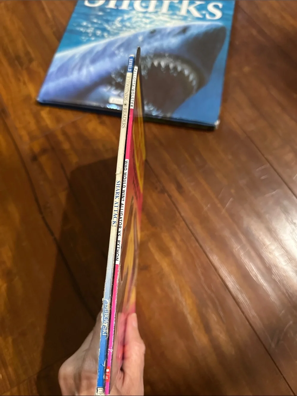 Shark Kids Book Lot 4 Wonderwheel DK Who Would Win Kingfisher Science